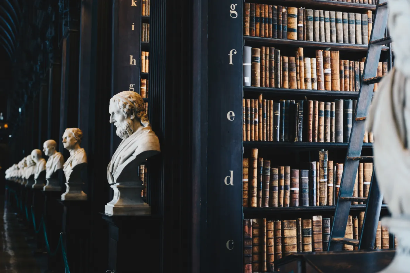 A quiet library reading room lined with books